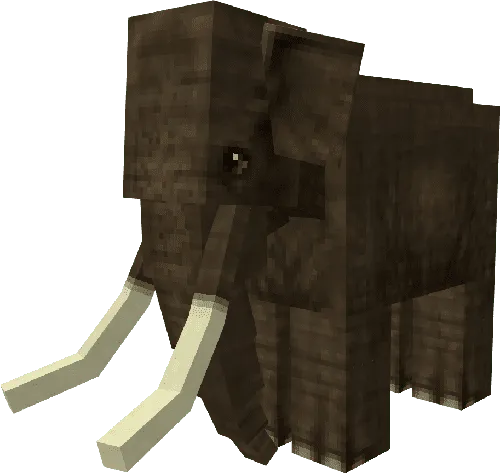 Asian Elephant