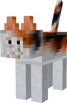Kitty