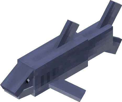 Shark