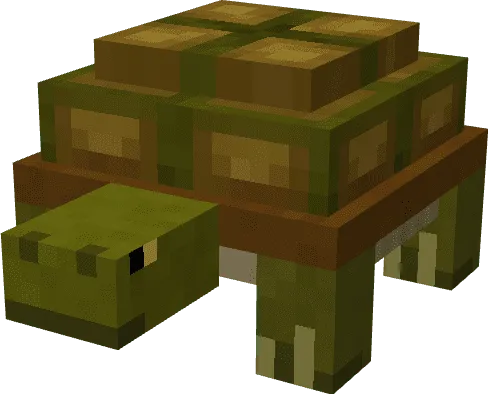 Turtle