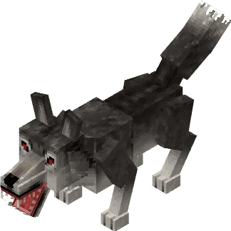 Wild Wolf
