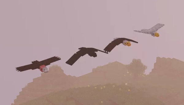 New Phantoms variants with bird models