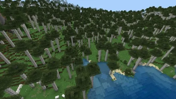 Birch Forests biome