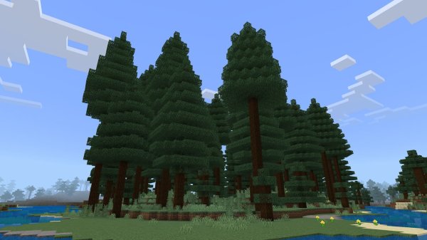 Boreal Forest biome