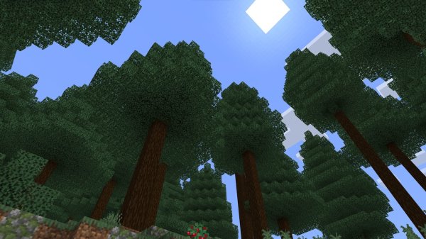 Screenshot from the Boreal Forest biome