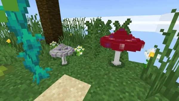 Deadly Mushrooms