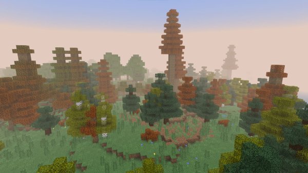 Deciduous Forest biome