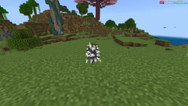 Ebony Sapling