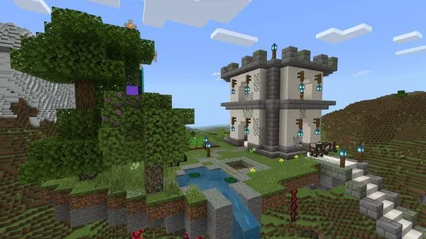 The Evil Wizard castle