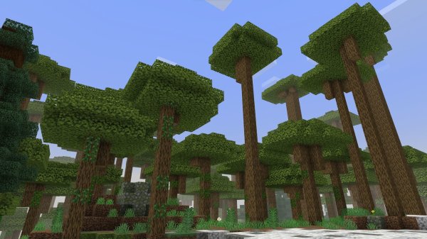 Giant Forest biome