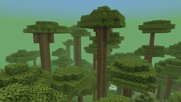 Giant trees