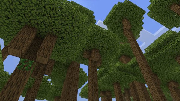 Another Giant trees in the biome