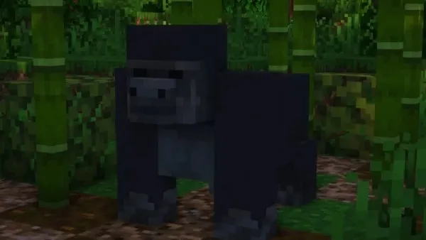 Gorilla variant