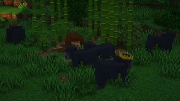 All Gorilla variants