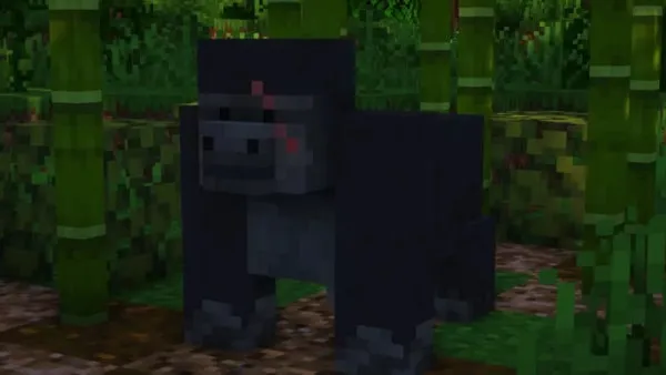 Gorilla variant with a scar