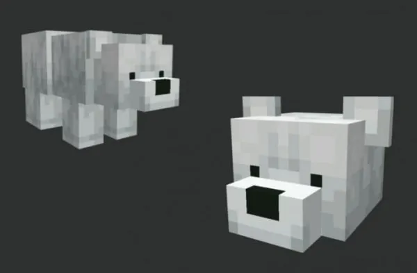 Polar Bear