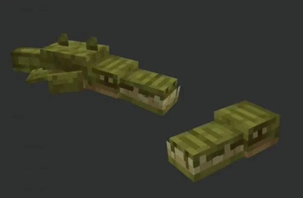 Crocodile texture and model