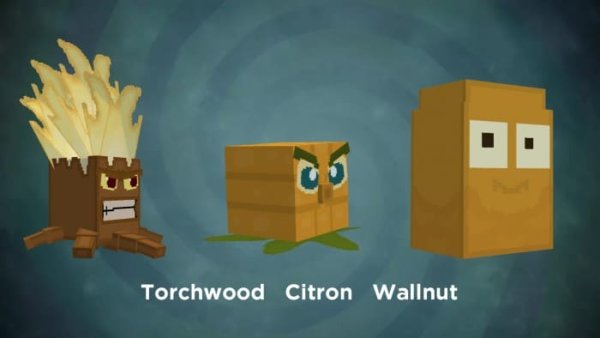 Torchwood, Citron and Wallnut