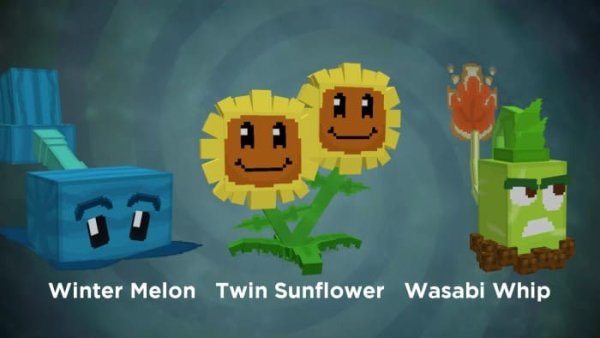 Winter Melon, Twin Sunflower and Wasabi Whip