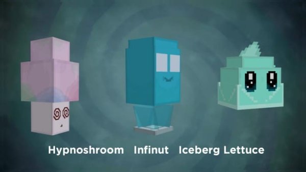 Hypnoshroom, Infinut and Iceberg Lettuce