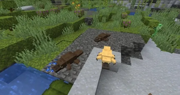 New Axolotl textures