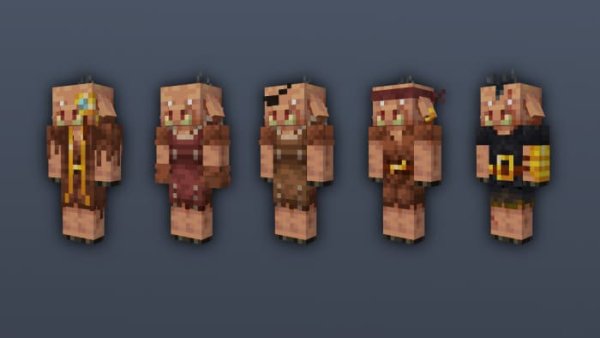 New Piglin variants