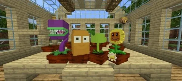 Plants from the PvZ game
