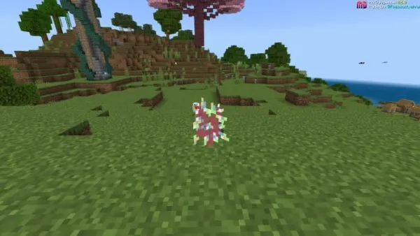 Rainbow Sapling