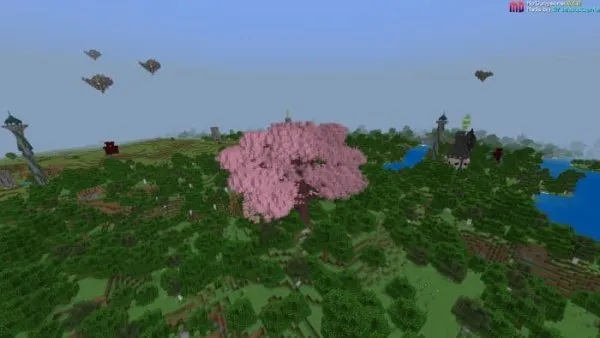 Sakura Tree