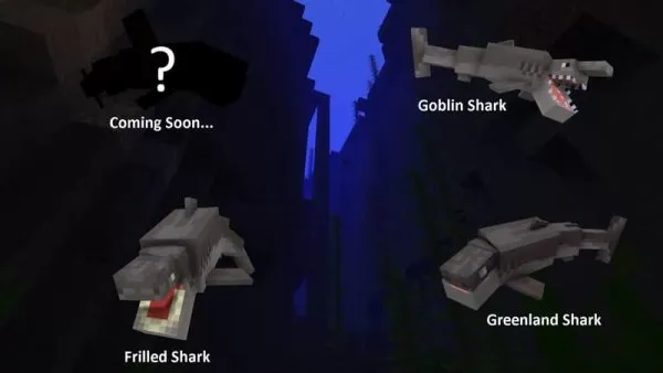 Shark models