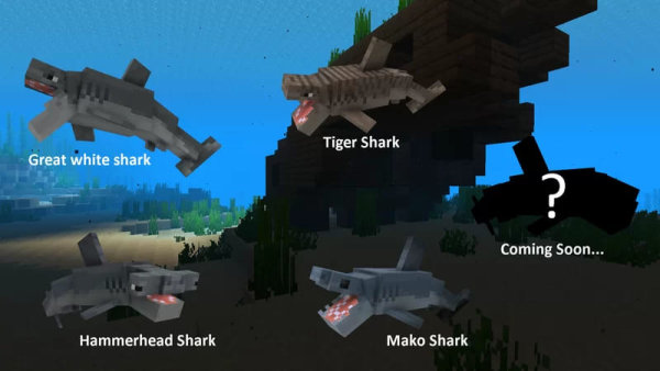 Great White, Tiger and other shark variants