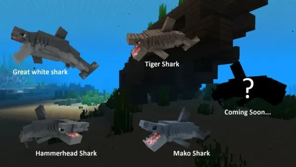 Great White, Tiger and other shark variants