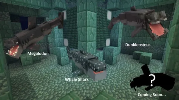 Elder Guardian shark models