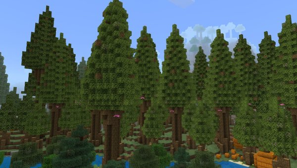 Temperate Forest biome