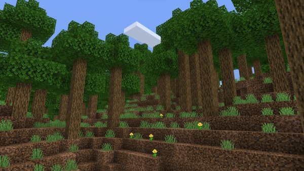 Thicket biome