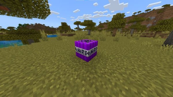 Warp TNT