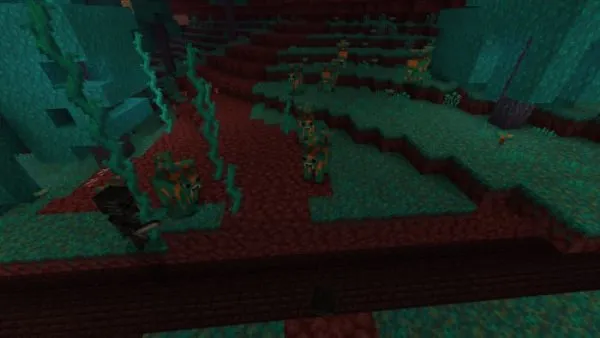 Warped Mushroom cows