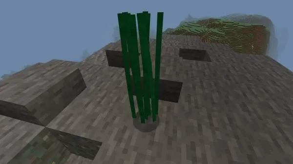 Whip Grass
