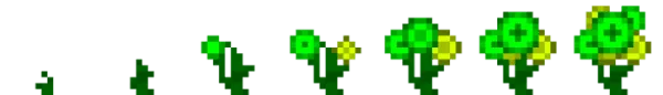 XP Crop stages