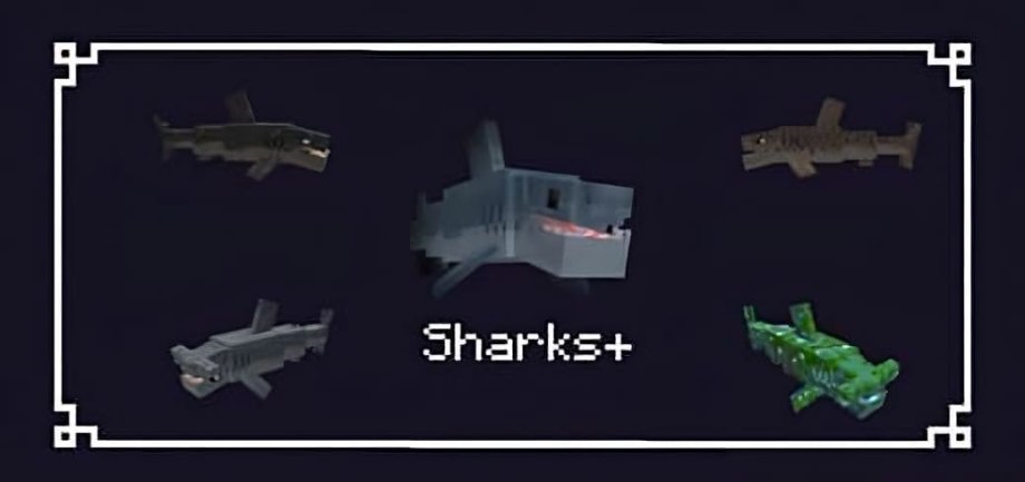 Thumbnail: Sharks+