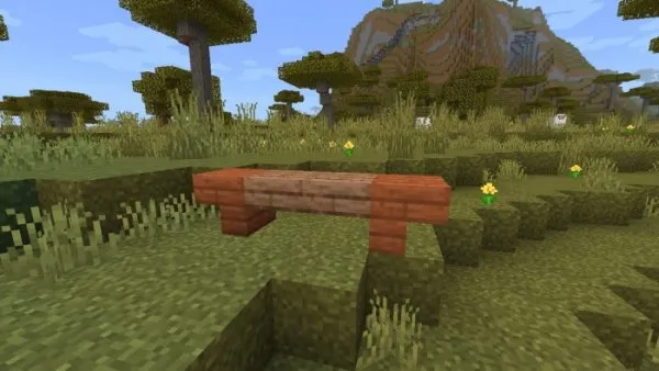 Acacia Bench