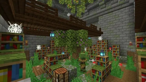 Cave Library