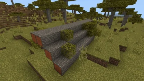 Giant Fallen Acacia Log