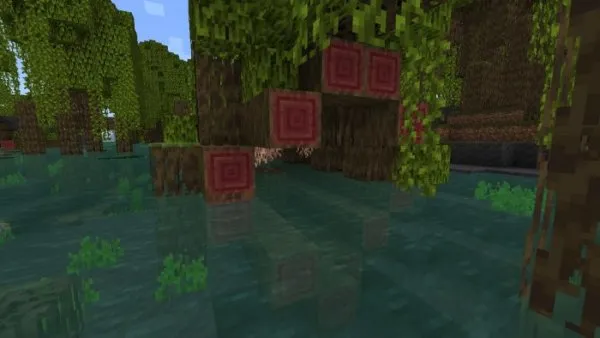 Giant Fallen Mangrove Log