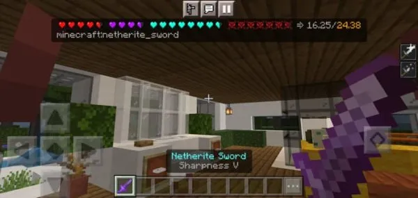 Bar and Total damage info for Netherite Sword