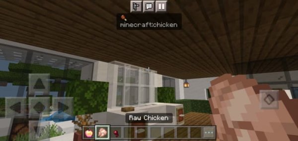 Effects info for Raw Chicken