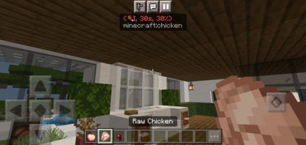 All info about effects for Raw Chicken