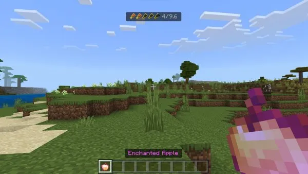 All hunger item info for Enchanted Apple