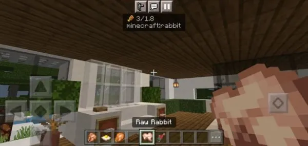 Hunger info for Raw Rabbit