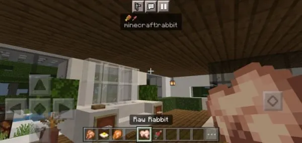 Bar only with Raw Rabbit